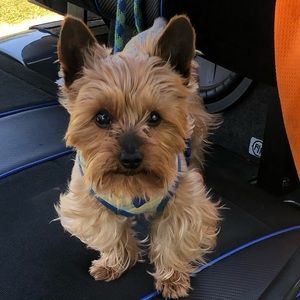 Meet your Posher, Scott